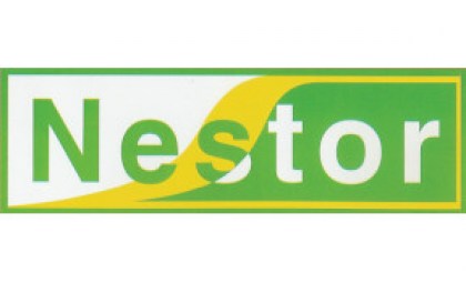 logo-NESTOR3